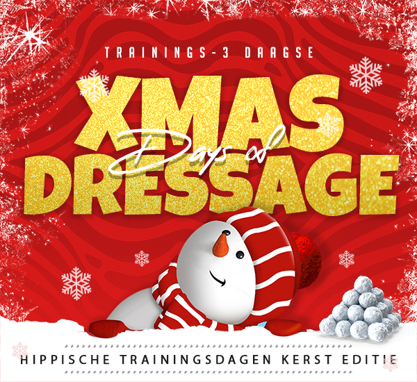 Trainings- 3 daagse CHRISTMAS DAYS OF DRESSAGE BASIS DRESSUUR
